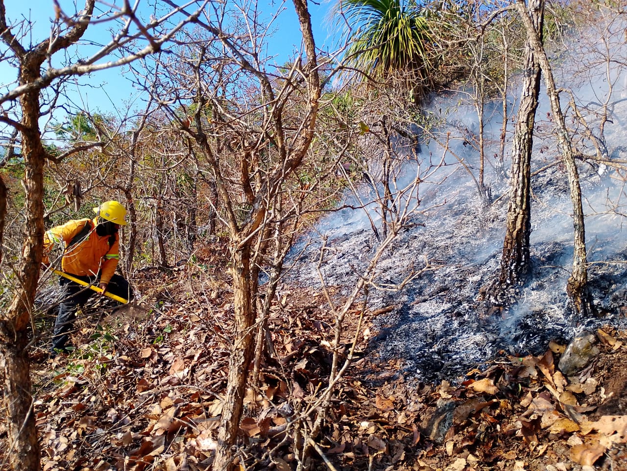 Suma Oaxaca 96 incendios forestales, 16 de pastizales y más de 13 mil hectáreas afectadas