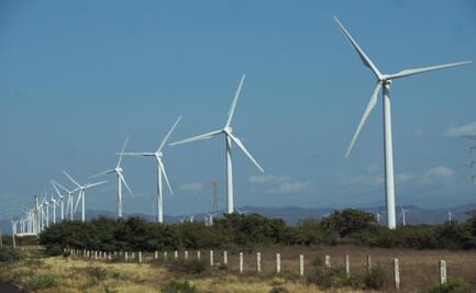 Peligran los dos nuevos parques eólicos que se planean construir en el Istmo