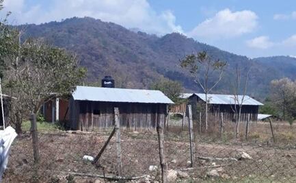 Urgen en Oaxaca a iniciar brecheo de nueva frontera en Los Chimalapas para evitar confrontación