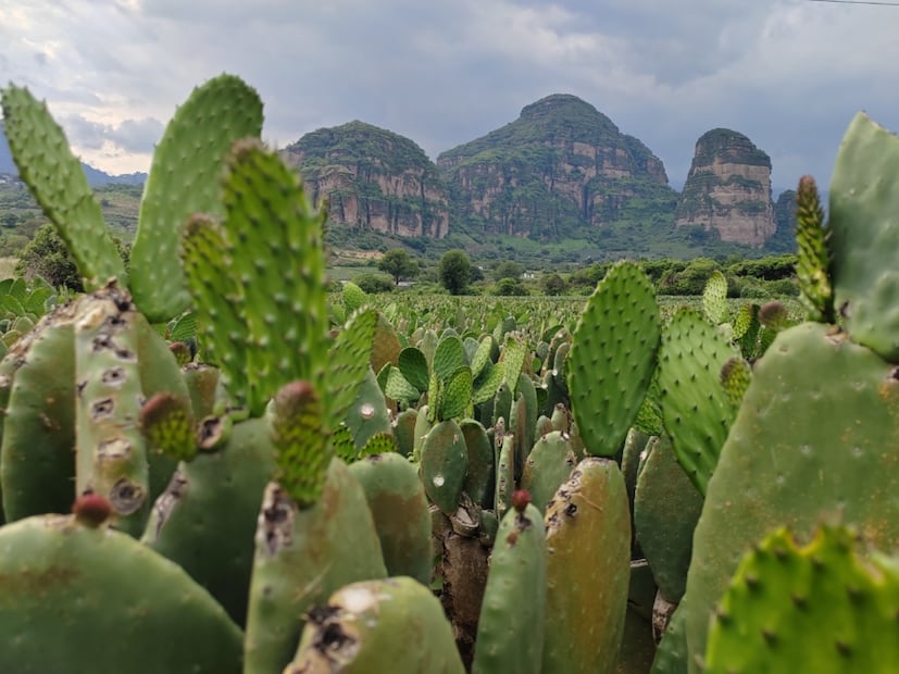 Foto: México Desconocido.