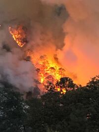 Piden ayuda para sofocar incendio en Santiago Tenango