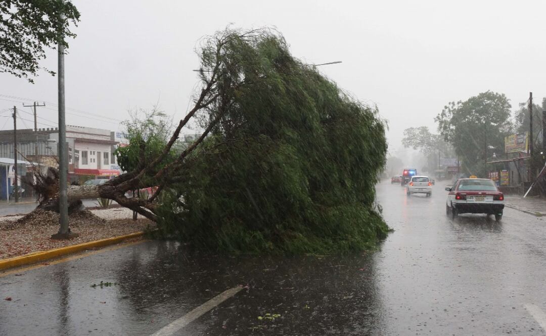 Foto: Edwin Hernández