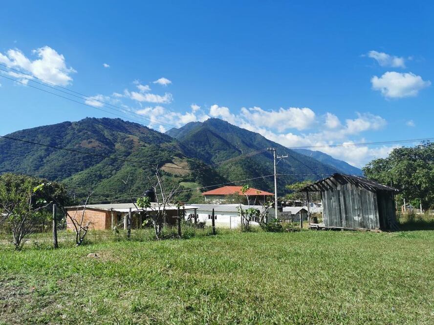 Por falta de pagos de Bienestar, zoques advierten bloqueo de carretera a Los Chimalapas, en Oaxaca. Foto: Roselia Chaca