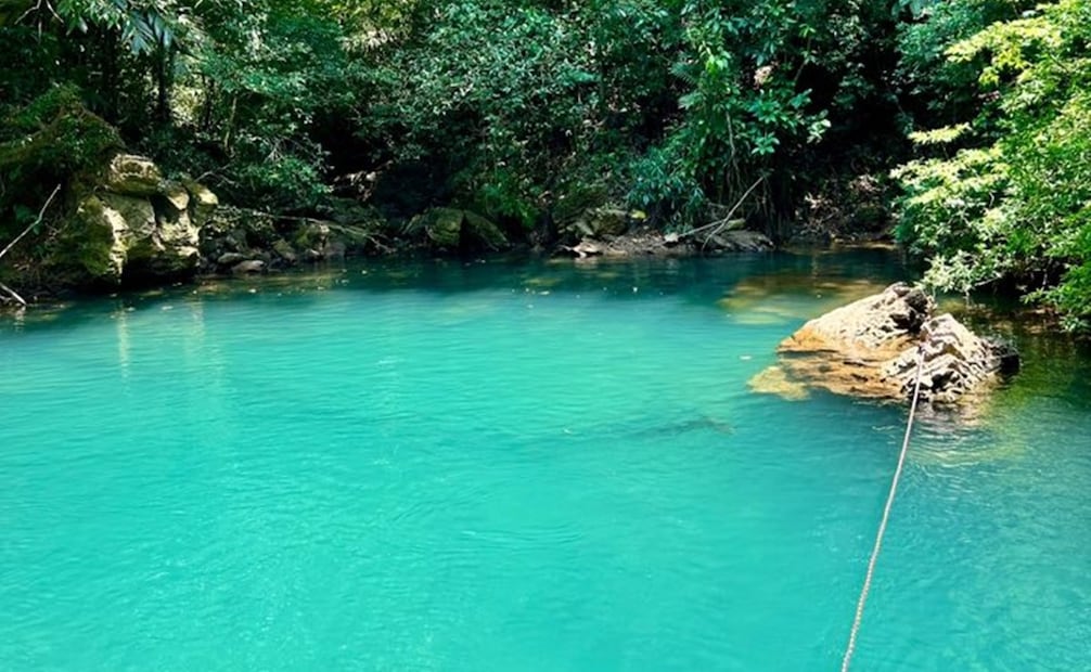 Cenote en Paraíso Jaguar, Oaxaca. Foto: Fb@Lenin Pineda