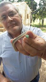 Asesinan a ambientalista José Luis Álvarez en Tabasco