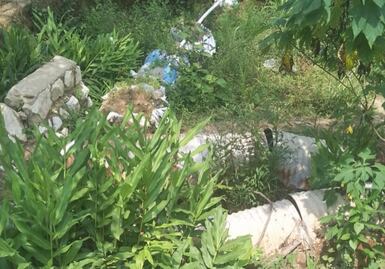 Pobladores de Santa María Chimalapas piden ayuda para reconstruir su camino de acceso dañado por lluvias