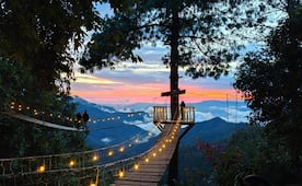 ¿Cómo llegar y cuánto cuesta visitar el Bosque Encantado de Oaxaca?