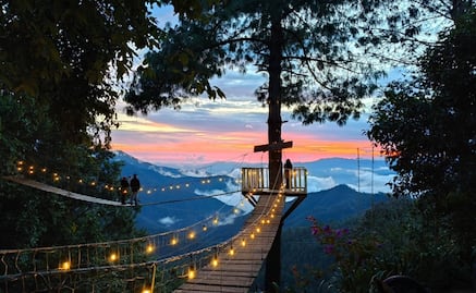 ¿Cómo llegar y cuánto cuesta visitar el Bosque Encantado de Oaxaca?