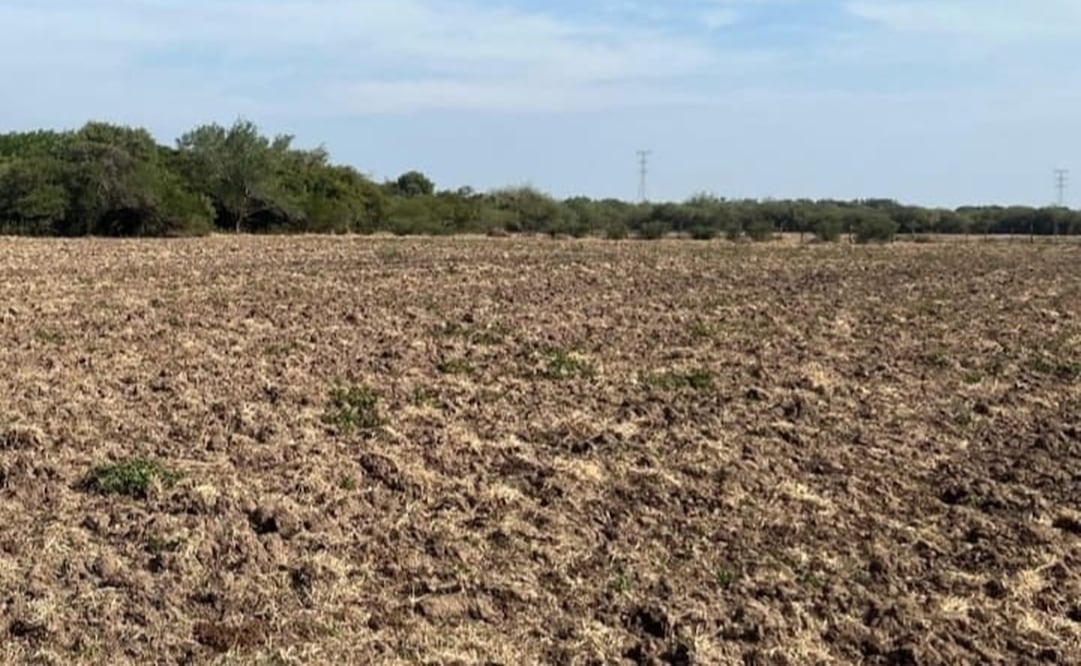 Falta de lluvias en los campos del Istmo de Tehuantepec, Oaxaca. Foto: Cortesía