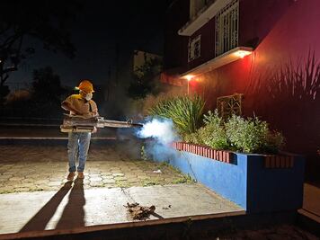 Confirman 280 casos de dengue en Oaxaca, 15 son graves