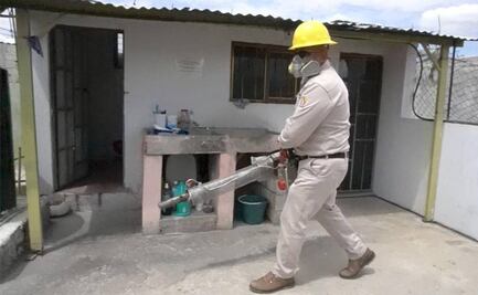 Alerta por dengue: 46 municipios de Oaxaca se encuentran en riesgo epidemiológico alto