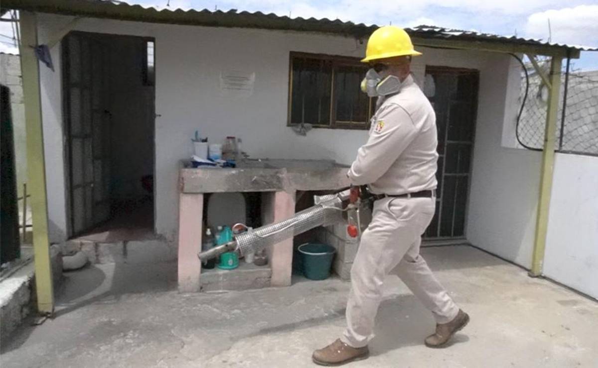 Alerta por dengue: 46 municipios de Oaxaca se encuentran en riesgo epidemiológico alto