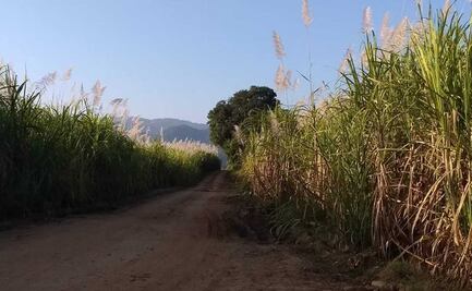 Buscan en Oaxaca que la Cuenca del Papalopan sea una “potencia” agrícola