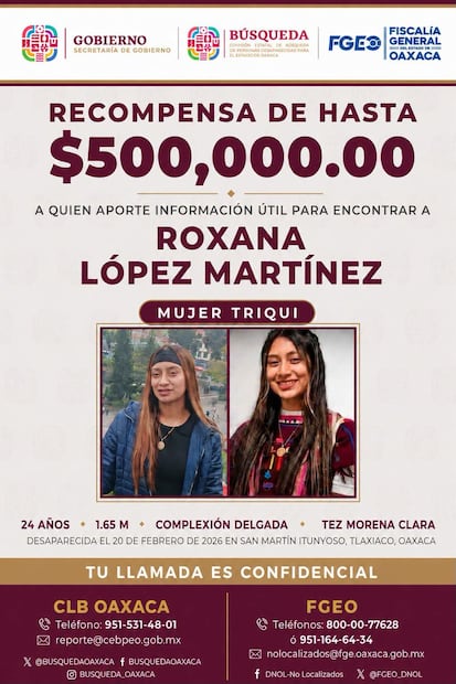 Cartel de recompensa por la búsqueda de Roxana López. Imagen: Especial