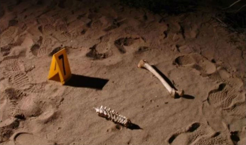 Hallan fosa clandestina con al menos 11 cuerpos en Uruapan