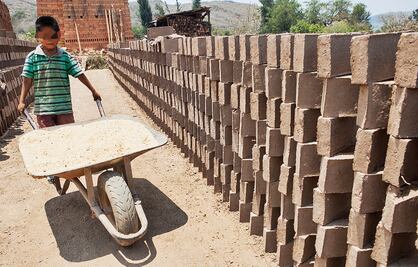 En Oaxaca hay 153 mil niños que trabajan en labores no permitidas por la ley, según la Digepo