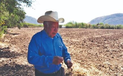 Luz incosteable para riego por ley eléctrica agudiza abandono del campo en comunidades del Valle de Oaxaca
