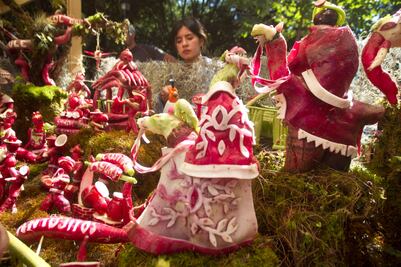 Por primera vez la ciudad de Oaxaca tendrá desfile de rábanos, previo a la centenaria tradición