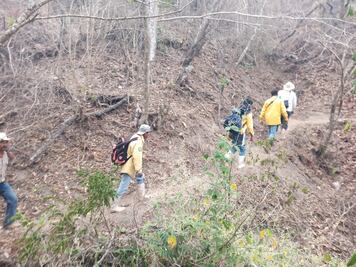 Rechaza Conafor instalación de centro de mando en Los Chimalapas, Oaxaca, para combatir incendios
