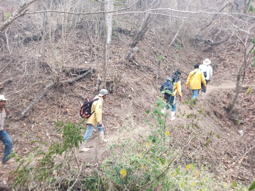Rechaza Conafor instalación de centro de mando en Los Chimalapas, Oaxaca, para combatir incendios