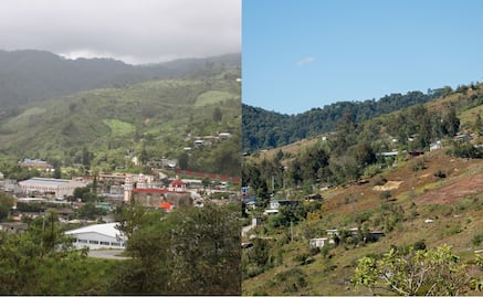 Grupo armado ataca a comunidades triquis de Oaxaca; reportan una mujer herida