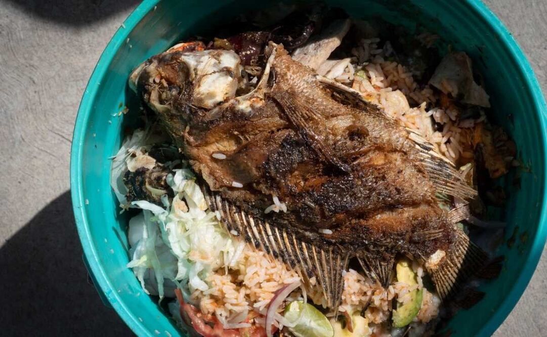 Oficializan recolección de residuos orgánicos en la ciudad de Oaxaca; los convertirán en composta. Foto: Mario Arturo Martínez