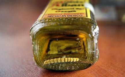 ¿Cómo llegó el gusano a la botella de mezcal oaxaqueño? Te contamos la historia