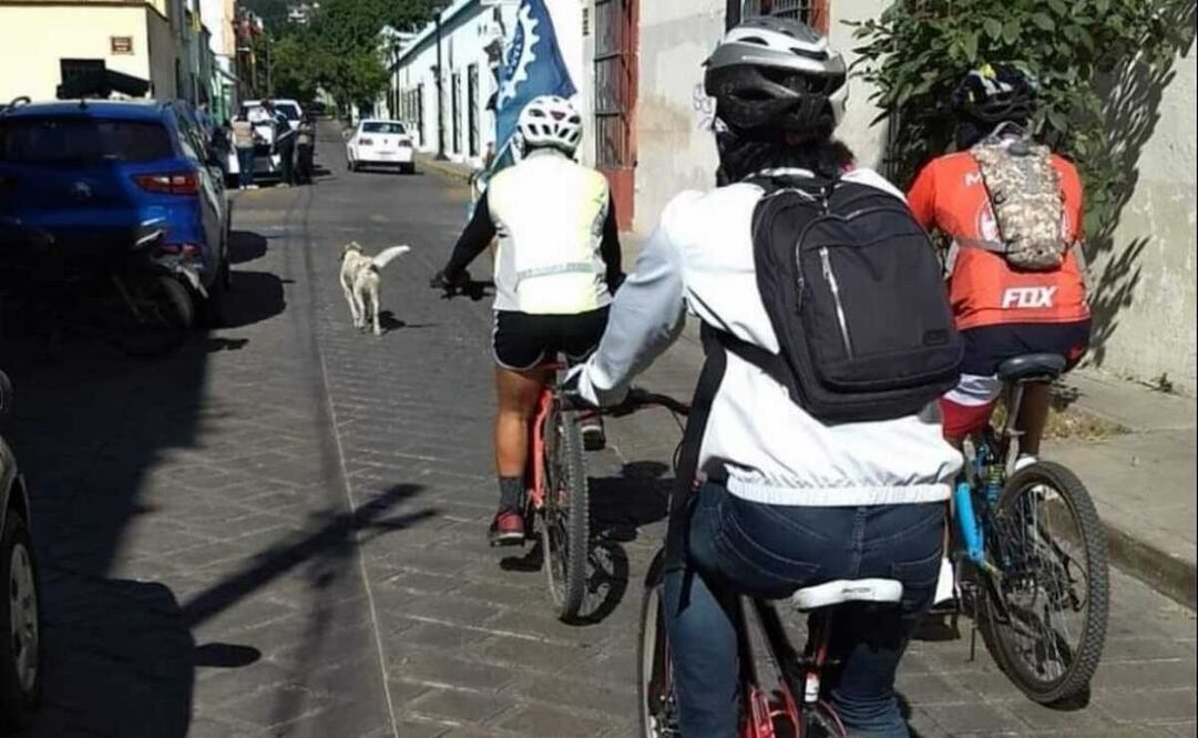 Ley de Movilidad, deficiente para evitar muertes; accidentes cobran 874 vidas en Oaxaca. Foto: Especial