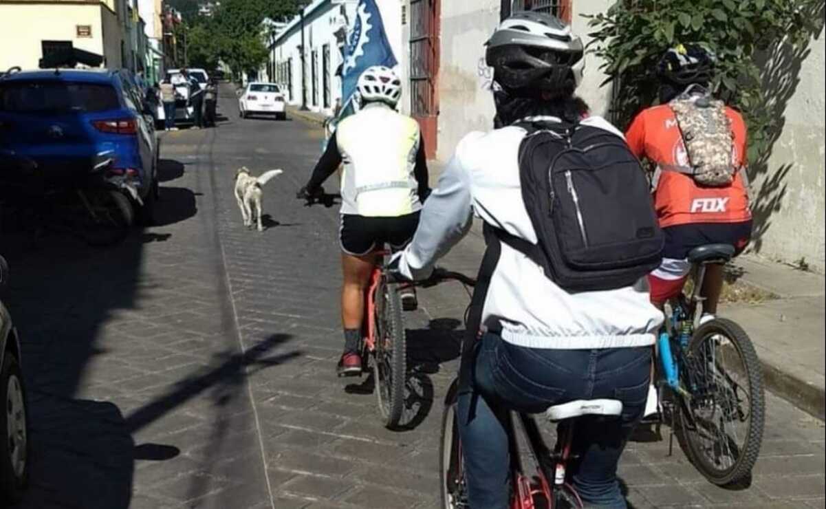 Ley de Movilidad, deficiente para evitar muertes; accidentes cobran 874 vidas en Oaxaca
