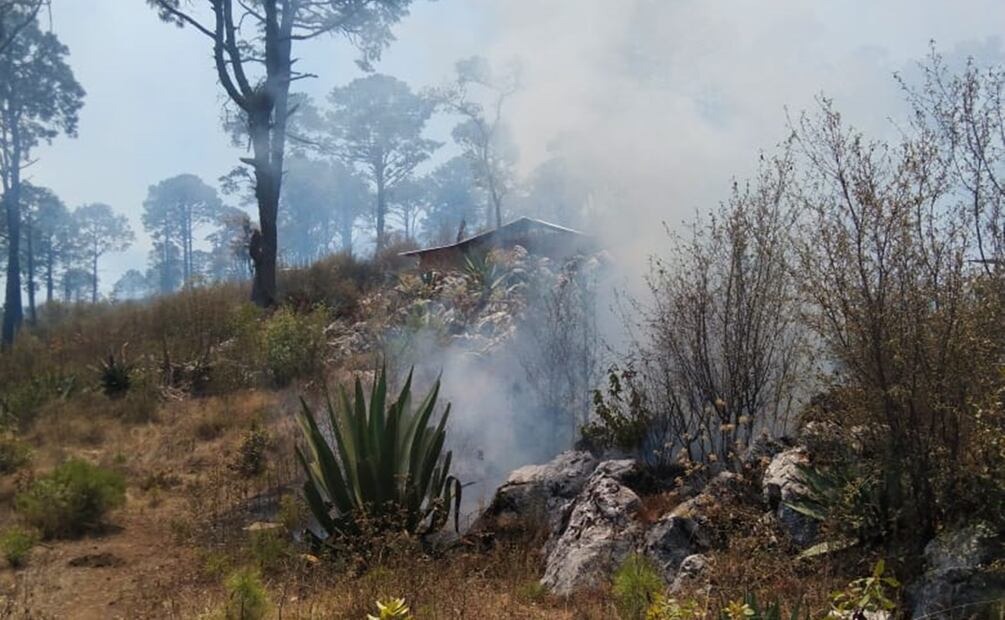 Reportan fuego cruzado entre Monteverde y Yosonotú, Oaxaca; permanece conflicto de tierra