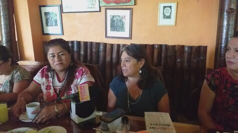 Tras despenalización del aborto, Oaxaca a la vanguardia de la defensa de los derechos de las mujeres: Paloma Bonfil