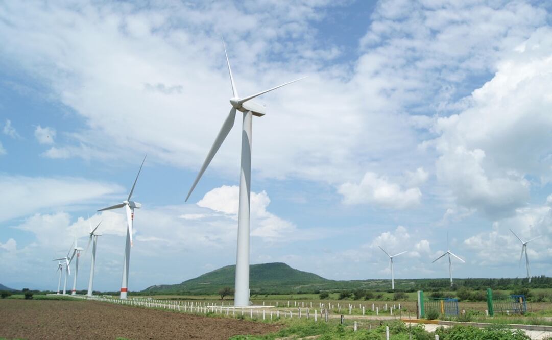 Foto: Archivo EL UNIVERSAL