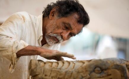 Un mundo sin Toledo, así puedes ver gratis el documental del artista oaxaqueño