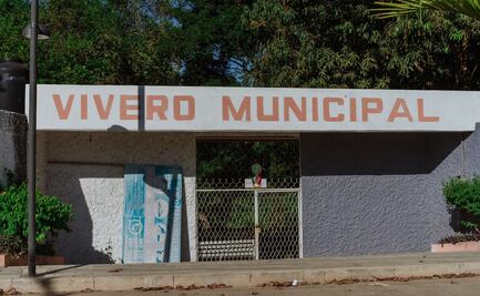 Vivero de Tuxtepec suma 9 años en abandono; gobierno municipal culpa a administración anterior