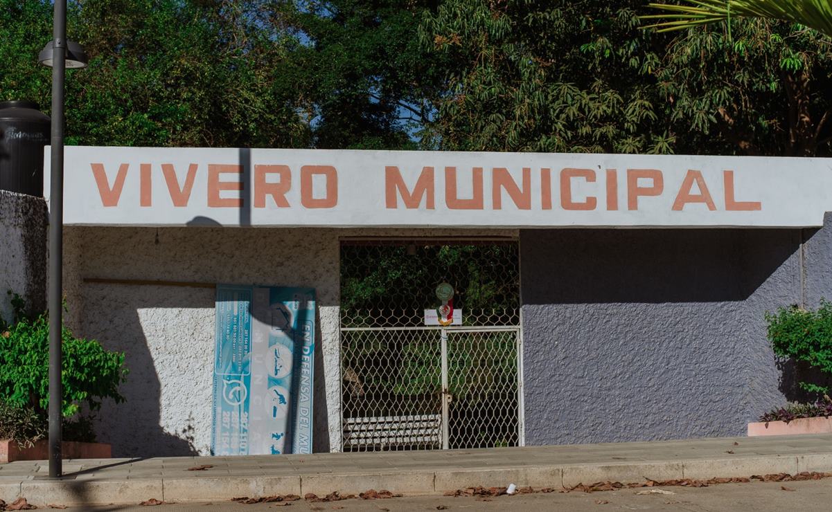 Vivero de Tuxtepec suma 9 años en abandono; gobierno municipal culpa a administración anterior. Foto: Antonio Mundaca