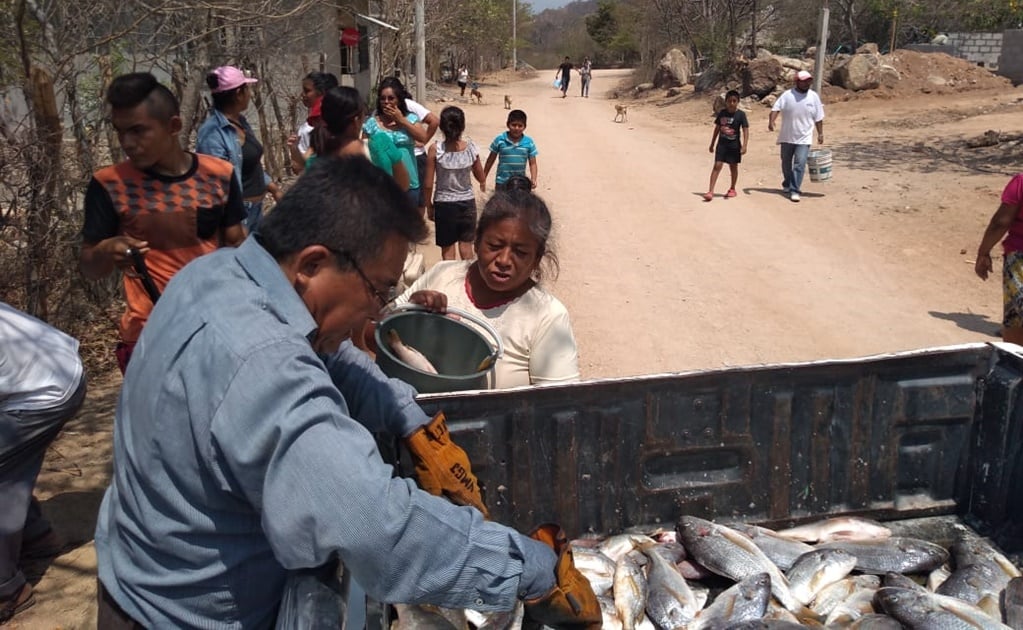 Pescadores regalan productos del mar a familias de Salina Cruz para enfrentar la pandemia
