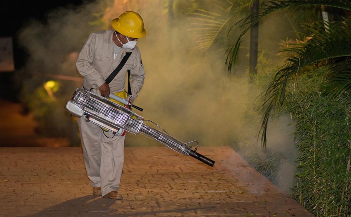 Aumentan a 87 casos confirmados de dengue en el estado de Oaxaca