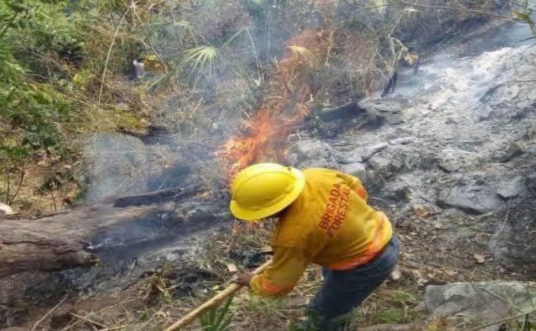 Además de pandemia por Coronavirus, Oaxaca enfrenta incendios forestales
