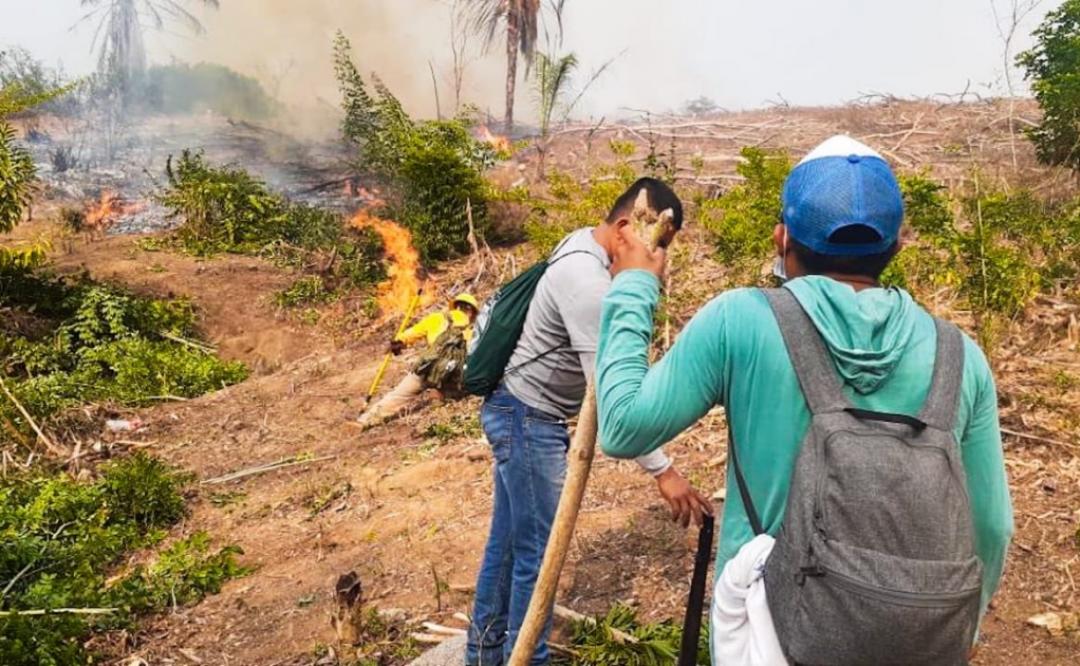 Se registran 5 incendios forestales activos en Oaxaca este viernes