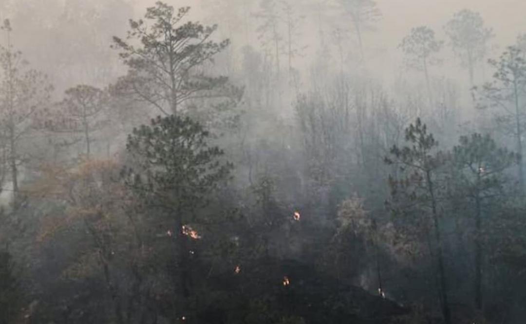 Acusan “grupos de choque” de Villa Sola de Vega de provocar incendios forestales