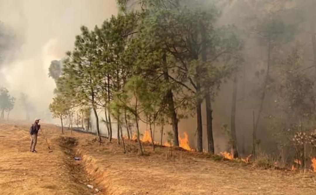 En plena pandemia, incendio forestal dejó sin agua a pobladores de Tepejillo