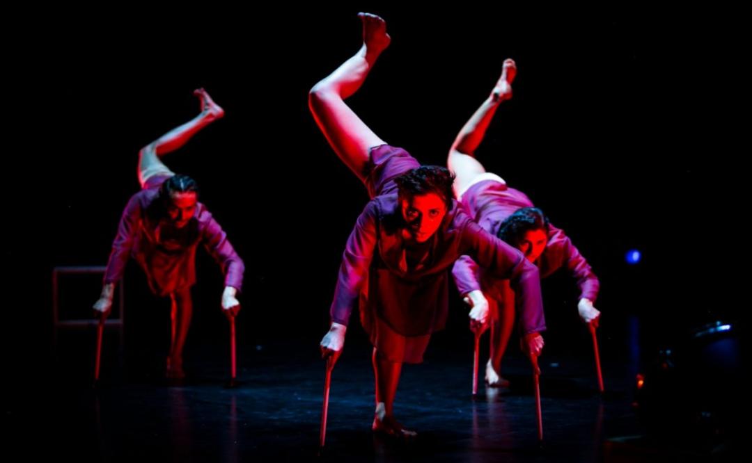 Pese a pandemia, Oaxaca será sede de la Muestra Internacional de Danza 2020, en formato virtual