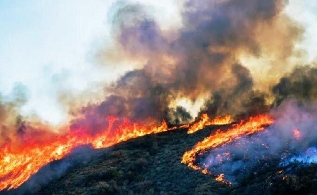 Vientos avivan el fuego en Santa María Peñoles, se mantiene activo con 4 incendios más en Oaxaca