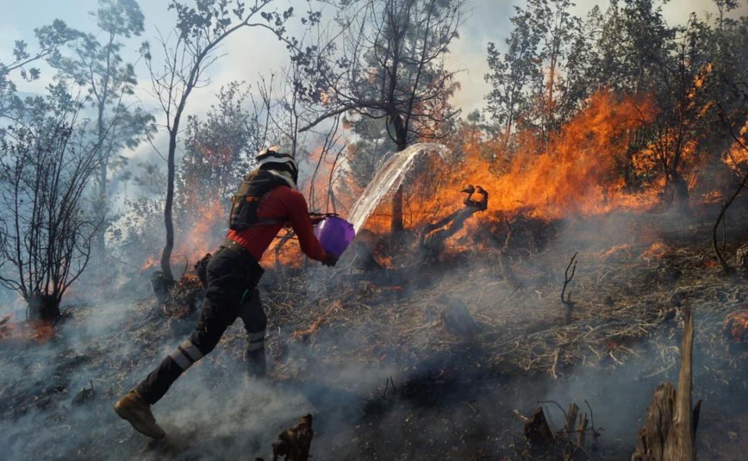 Por incendios forestales, declaran en emergencia a 5 municipios de Oaxaca
