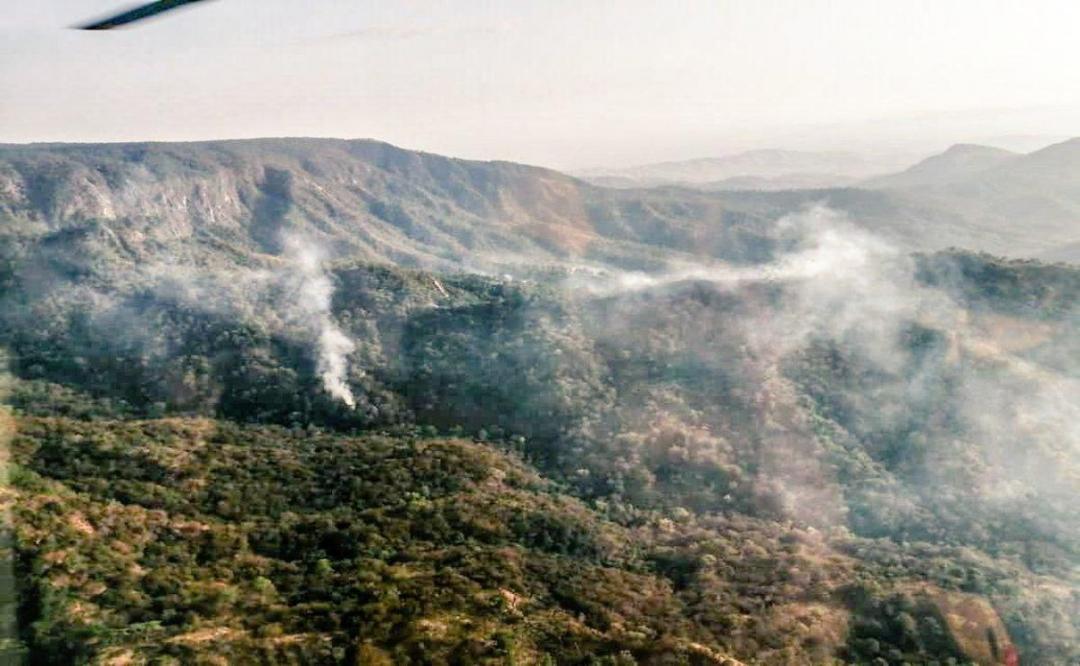 Incendio forestal consume dos parajes de la selva de Los Chimalapas, en Oaxaca