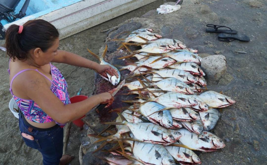 Puerto Ángel, en la Costa de Oaxaca, padece doble castigo: no llega turismo y hay escasez de peces