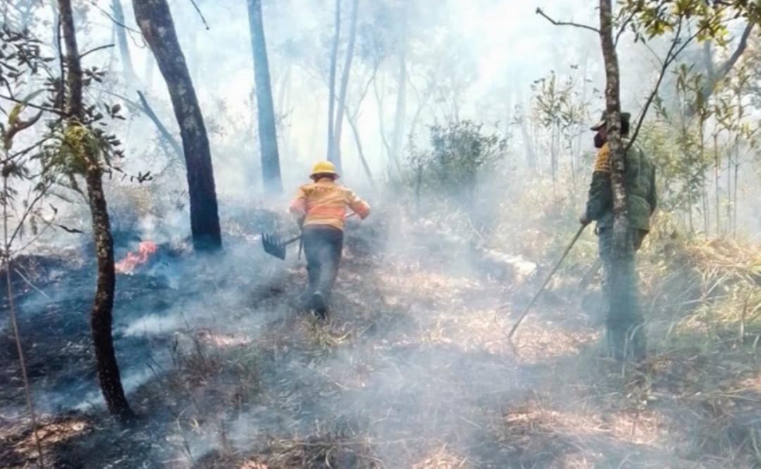 Hay cuatro incendios forestales activos en Oaxaca; Segego participa para acceder a comunidades