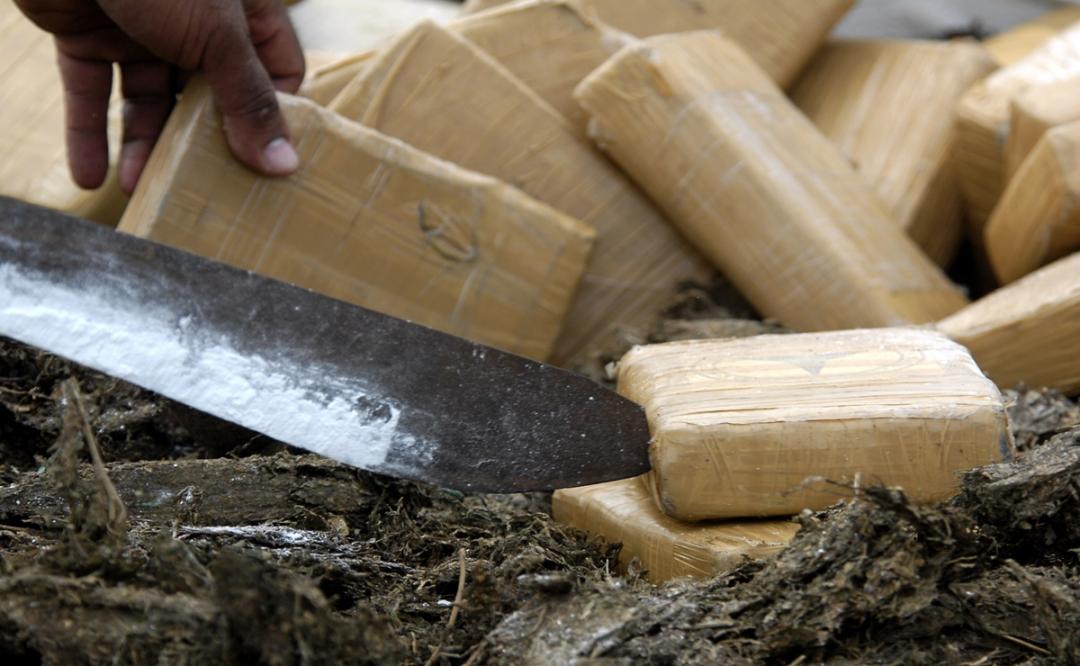 Destruye FGR en Oaxaca más de 600 kilos de drogas como marihuana y cocaína