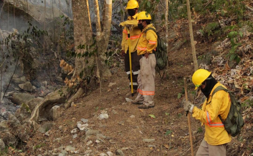 Controlan al 100% incendio forestal en Teojomulco, en la Sierra Sur de Oaxaca; hay 7 activos