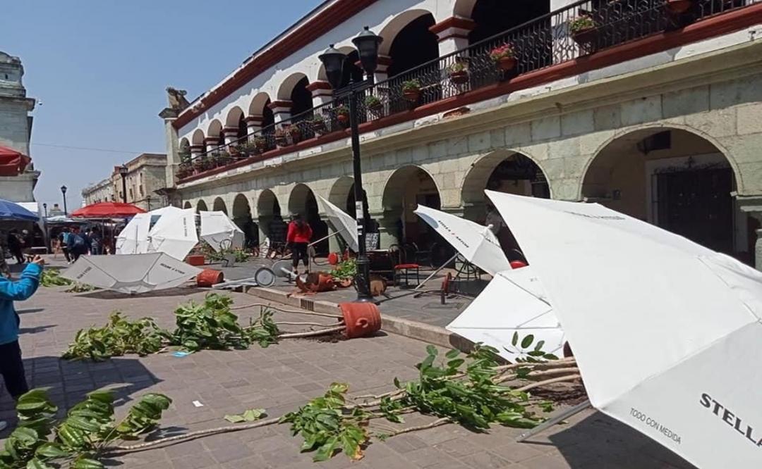 Inaceptable que demandas de justicia terminen en vandalismo e intimidación: Coparmex Oaxaca